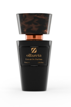 Sublime for Him - Parfum homme 70 ml | Essence 30% - 048M